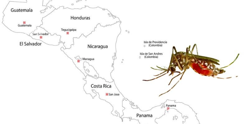 Guatemala y Panamá son los más afectados por el virus del dengue en Centroamérica