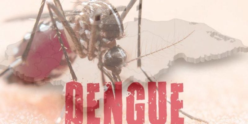 Honduras reporta más de tres mil casos de dengue en este 2024