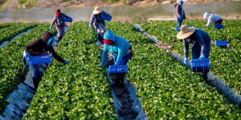 Costa Rica promueve programa laboral para migrantes en Centroamérica