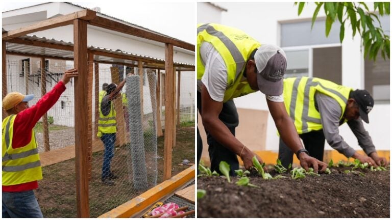 Adultos mayores del Hogar Perpetuo Socorro desarrollan huerto familiar, iniciativa de Roberto Contreras