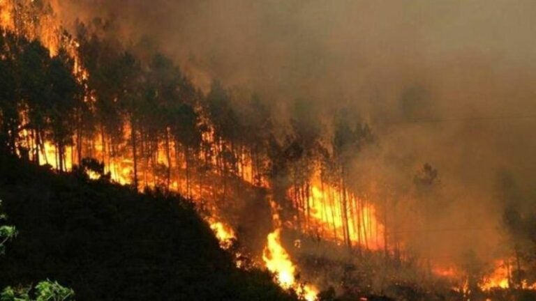 Incendios 2024