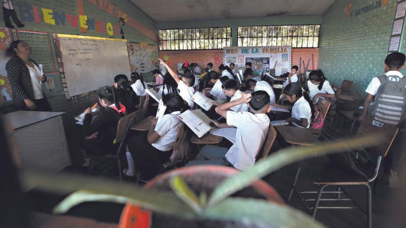centros educativos libros estudiantes