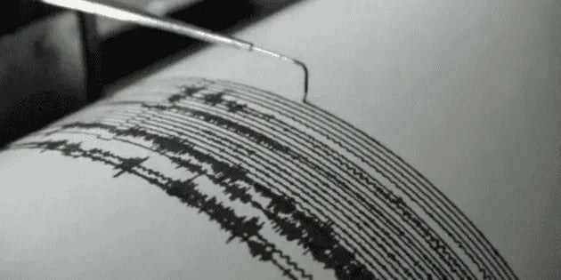 Terremoto en la isla japonesa