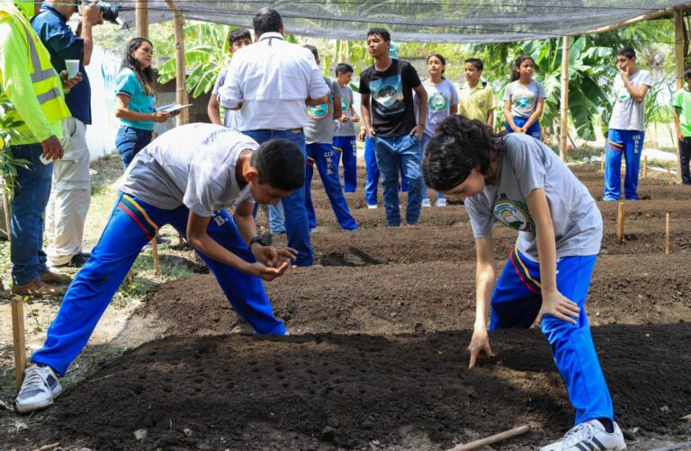 Escuelas