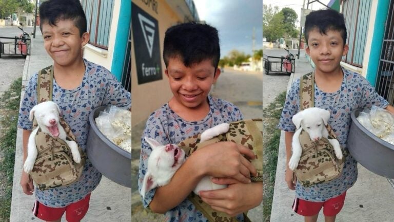 niño con perrito albino