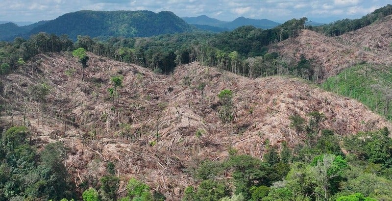 invasión de tierras y deforestación en Gracias a Dios