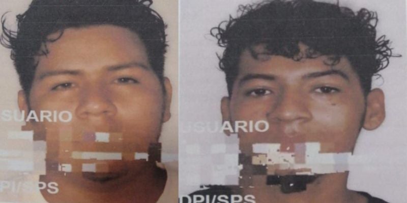 4 meses prisión para dos hermanos por delitos ambientales en La Ceiba.
