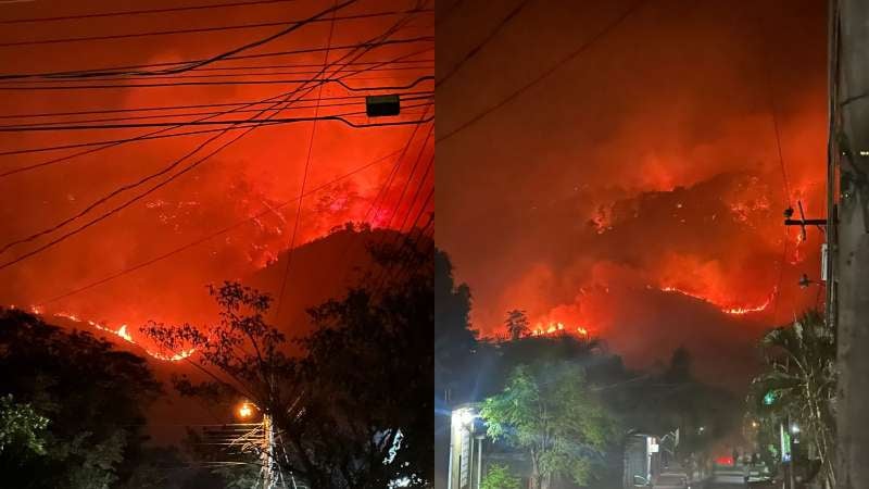 Incendio destruye bosque en Cofradía