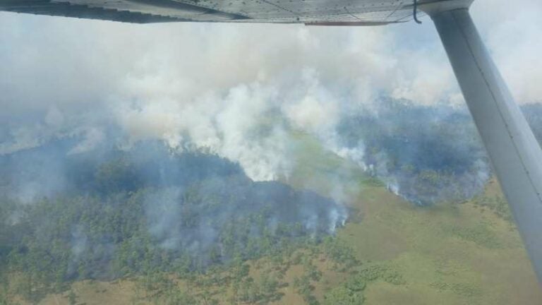 Incendio en biosfera del río plátano