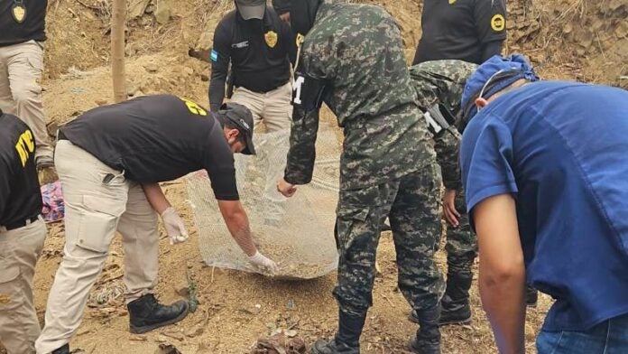 Osamentas en cementerio clandestino