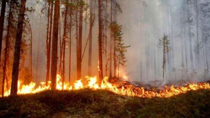 Incendios Forestales