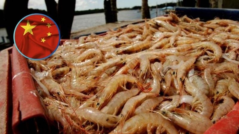 Rodolfo Pastor: Se debe aprovechar el mercado de camarón en China