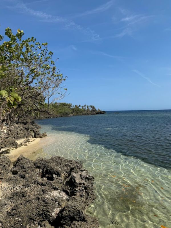 Forbes destaca a Roatán
