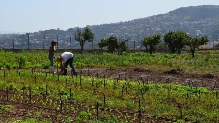 conservación de sistemas agrícolas tradicionales