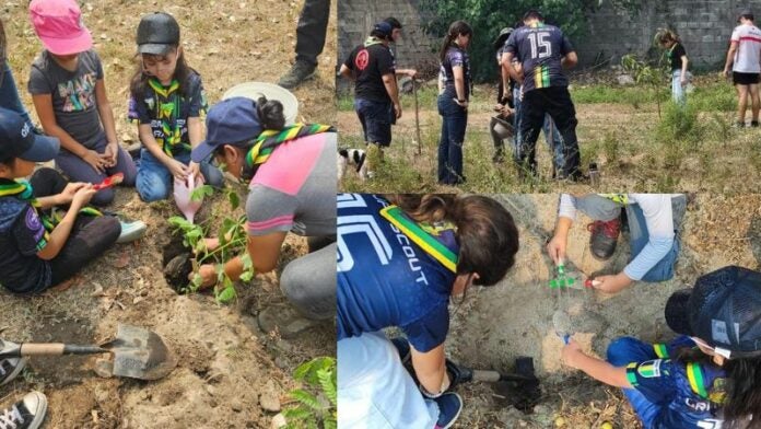 grupo Scout campaña reforestación