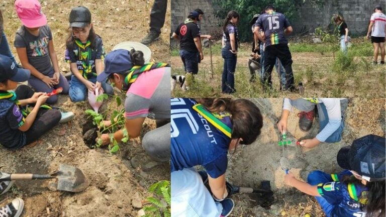 grupo Scout campaña reforestación