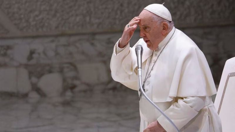 Papa Francisco términos homófobos