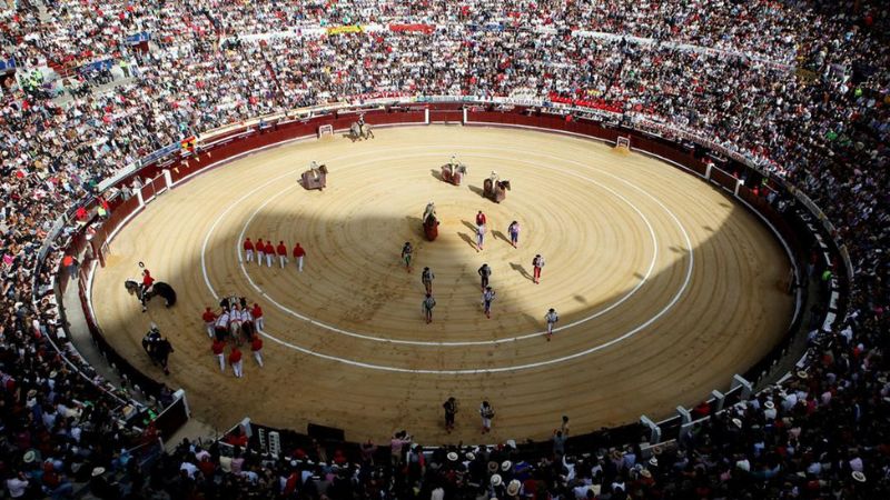 Aprueban prohibición de corridas de toros en Colombia