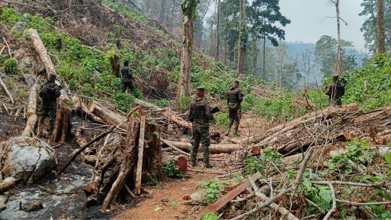 Deforestación Plan Bonito 