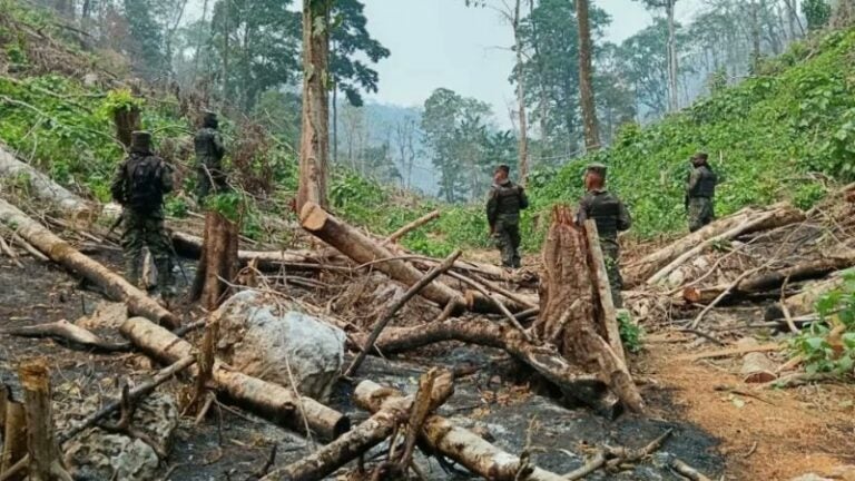 Deforestación Plan Bonito Gualaco