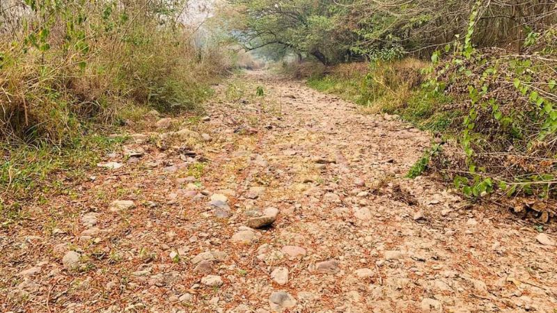 Río Catacamas desaparece por sequía