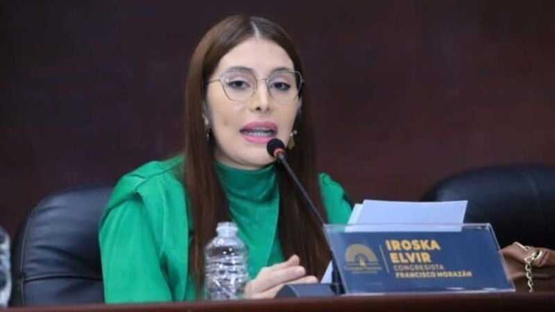 Iroshka Elvir: Espero que el CNE tome decisiones democráticas con Nasralla