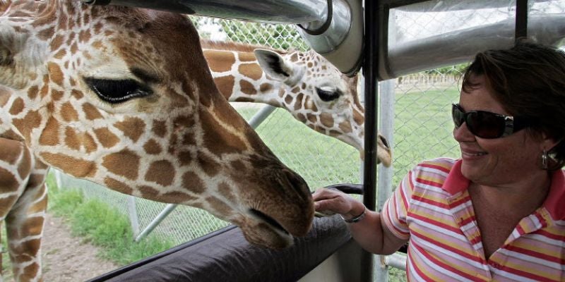 Costa Rica anuncia el cierre de dos zoológicos estatales tras 11 años de litigios