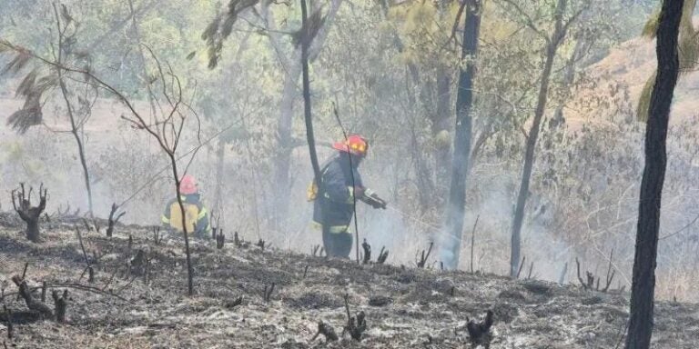 Guatemala combate incendios forestales con ayuda de la ONU