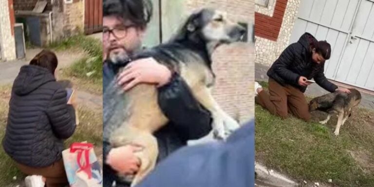 Joven durante un viaje encuentra a su perrito que había desaparecido hace tres años