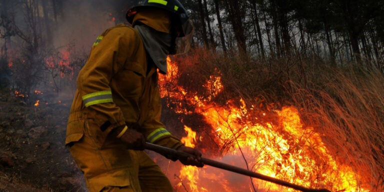 ICF: El 93 % de los incendios en Honduras son provocados por mano criminal