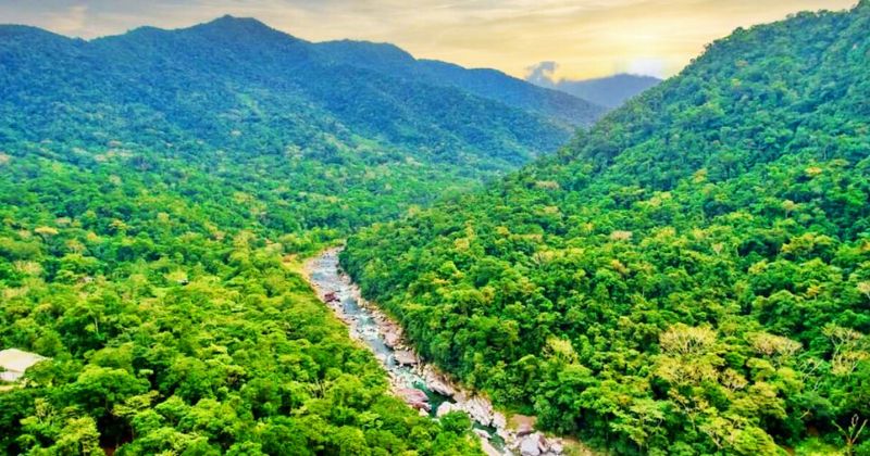 CN aprueba ley de conciencia y preservación de ecosistemas para la población estudiantil
