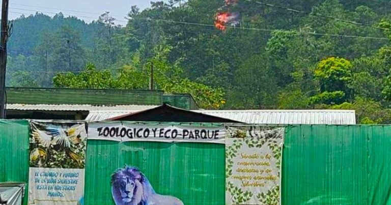 Reportan incendio cerca del zoológico Joya Grande