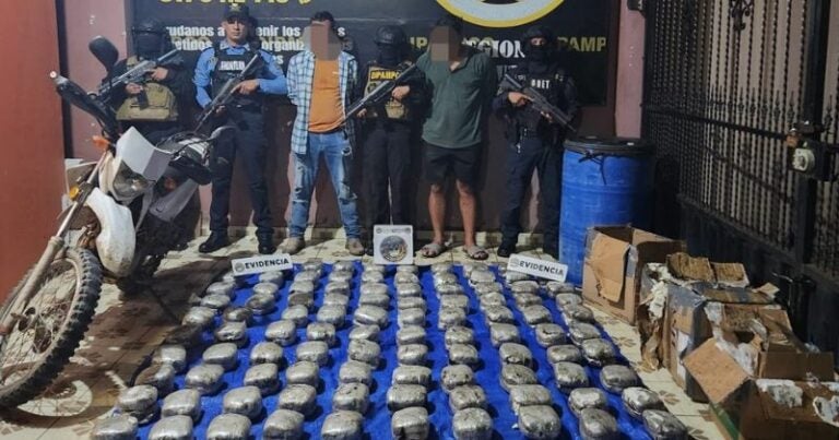 Decomisan en Choluteca un cargamento de supuesta droga valorado en casi L800,000