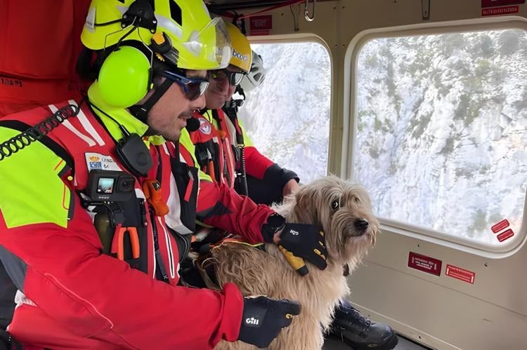 avalancha de nieve en Suiza