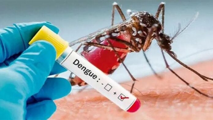 Aumento casos de dengue