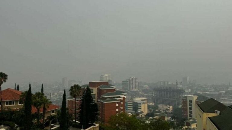 circulación de vehículos contaminación