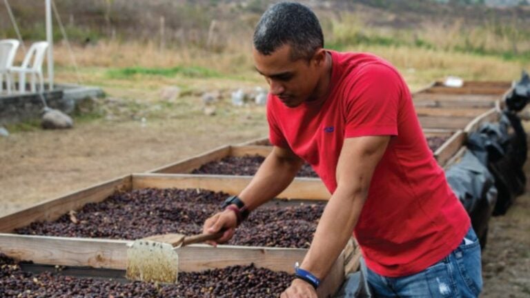 SAG apoyo financiero caficultores