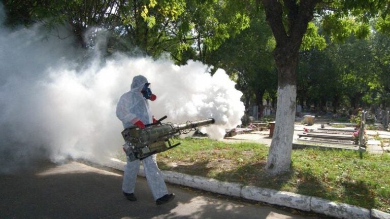 colonias intervenidas por dengue