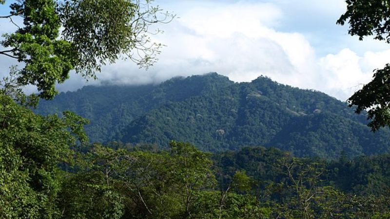 Congreso aprueba ampliar zona de reserva de El Merendón