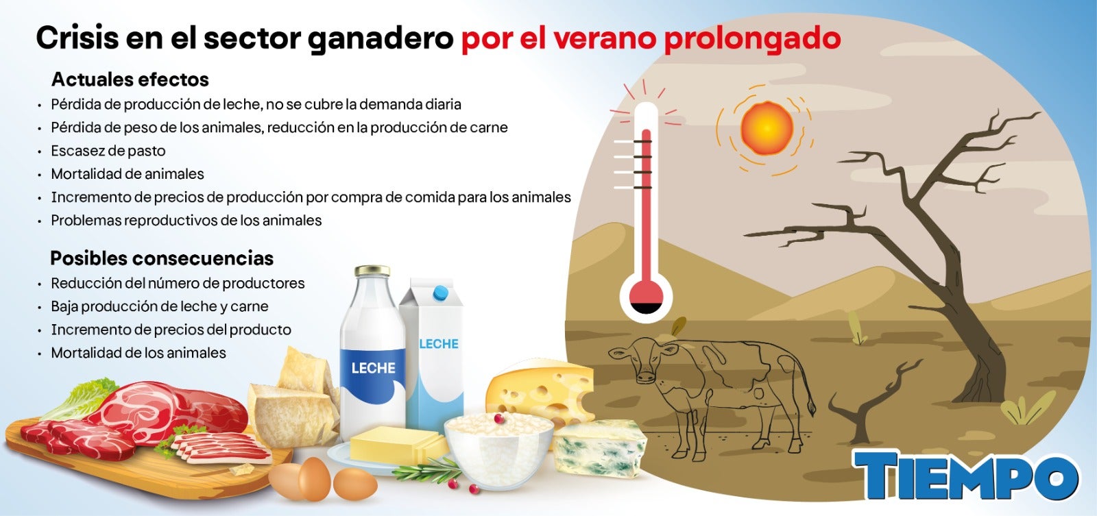Infografía 