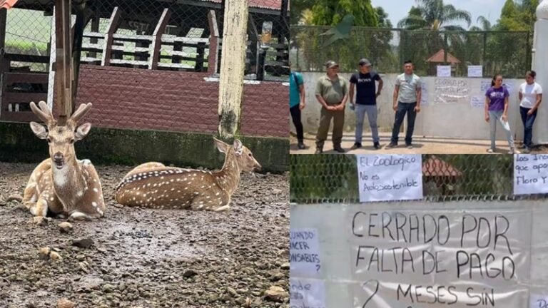 Personal Zoológico Joya Grande