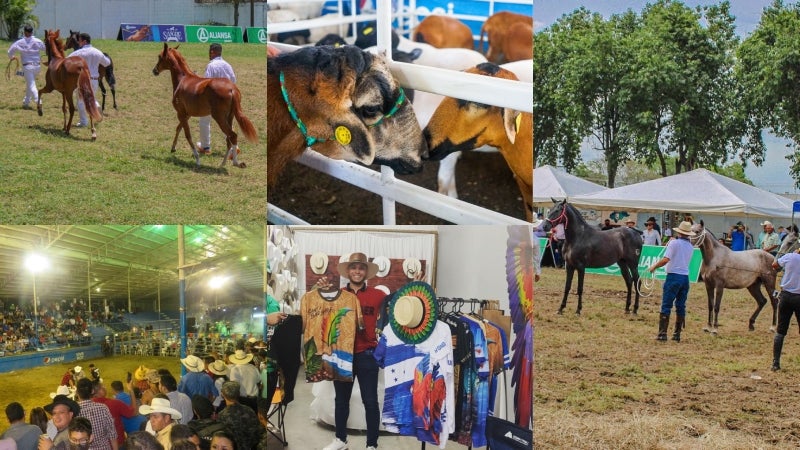 Diversas actividades se llevaran a cabo en el Campo Agas, en el marco de la Feria Juniana.