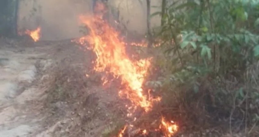 El reciente incendio forestal de casi 144 hectáreas en la zona del Merendón, cerca de El Zapotal en SPS.