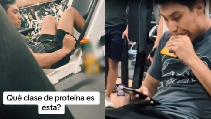 Joven gimnasio para alimento para perro