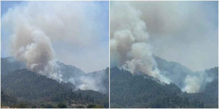 Incendio consume varias manzanas de la cordillera de El Merendón, SPS