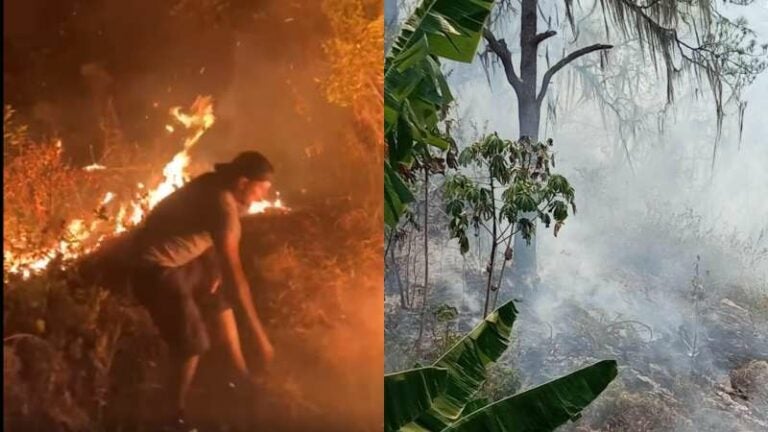 Más de 100 manzanas de tierra han sido destruidas por incendio en El Merendón