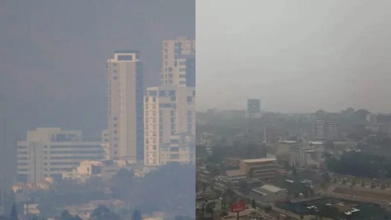 Contaminación ambiental deja graves daños al ecosistema hondureño