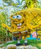 bob-3
