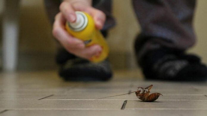 Hombre incendia casa por cucaracha