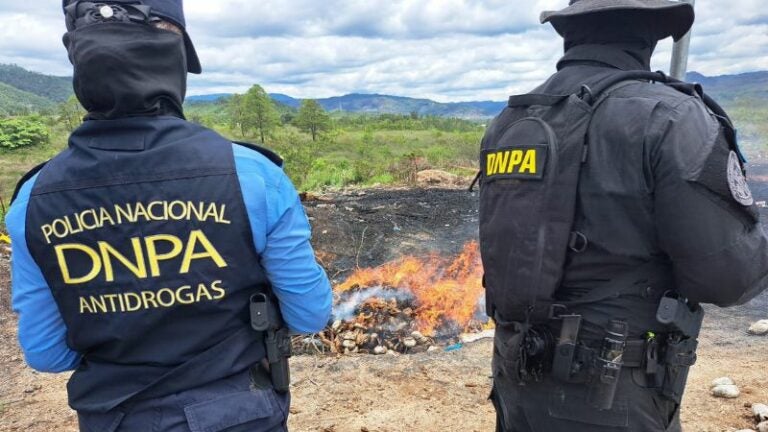 Incineran marihuana cocaína Tegucigalpa